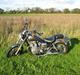 Honda CMX 450 C Rebel