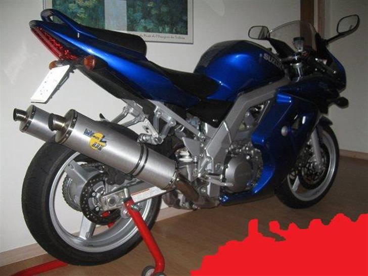 Suzuki sv1000s--*Solgt* billede 4