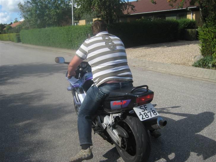 Honda CBR 600  billede 8