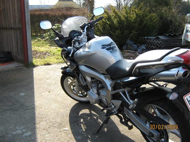 Yamaha FZ6s billede 5