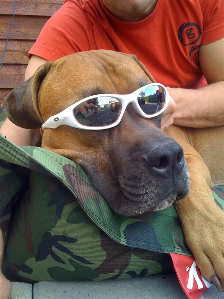 Suzuki GSXR 750 billede 8