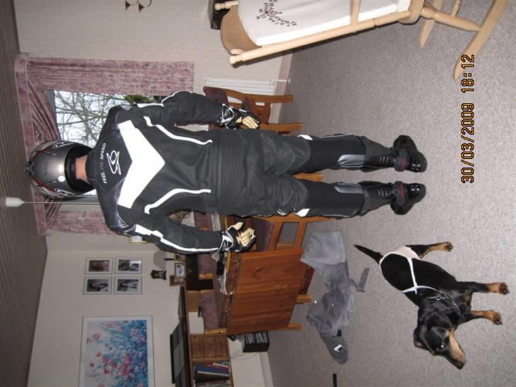 Honda CBR 1100 XX billede 9