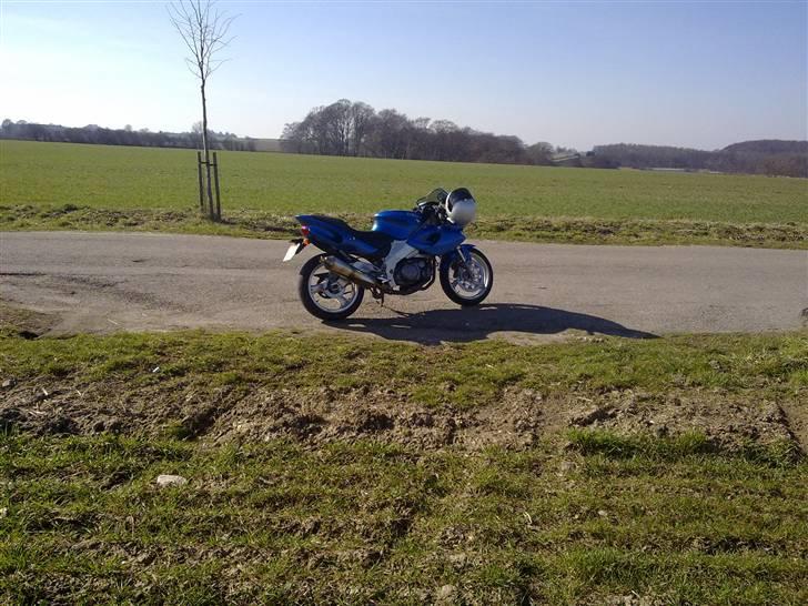Yamaha SZR 660 SOLGT billede 6