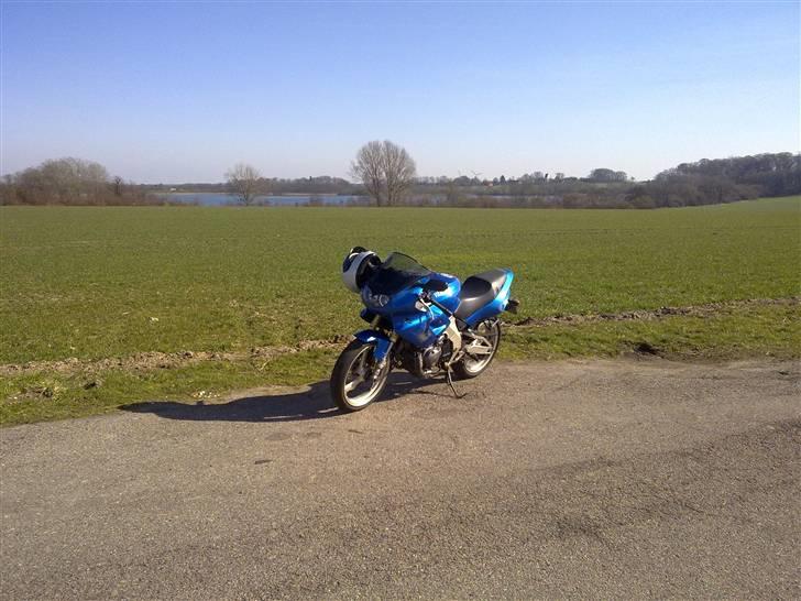 Yamaha SZR 660 SOLGT billede 7