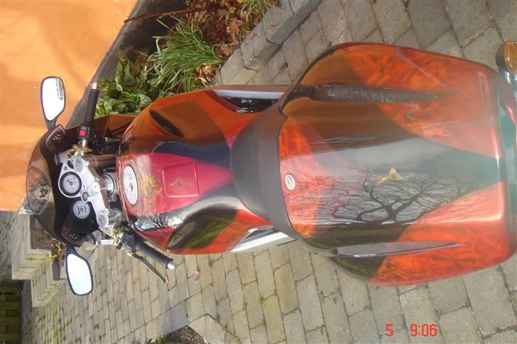 Bimota SB6 billede 5