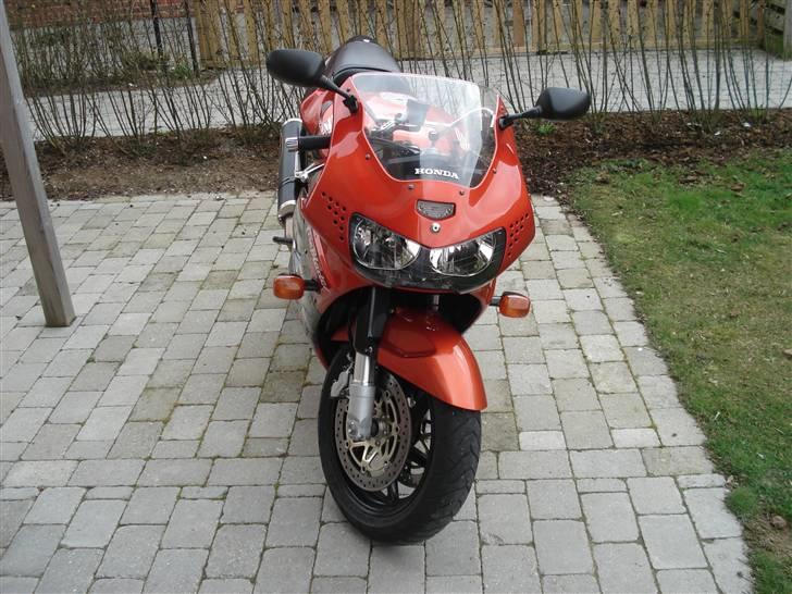Honda CBR 900 ( totalskadet )  billede 2