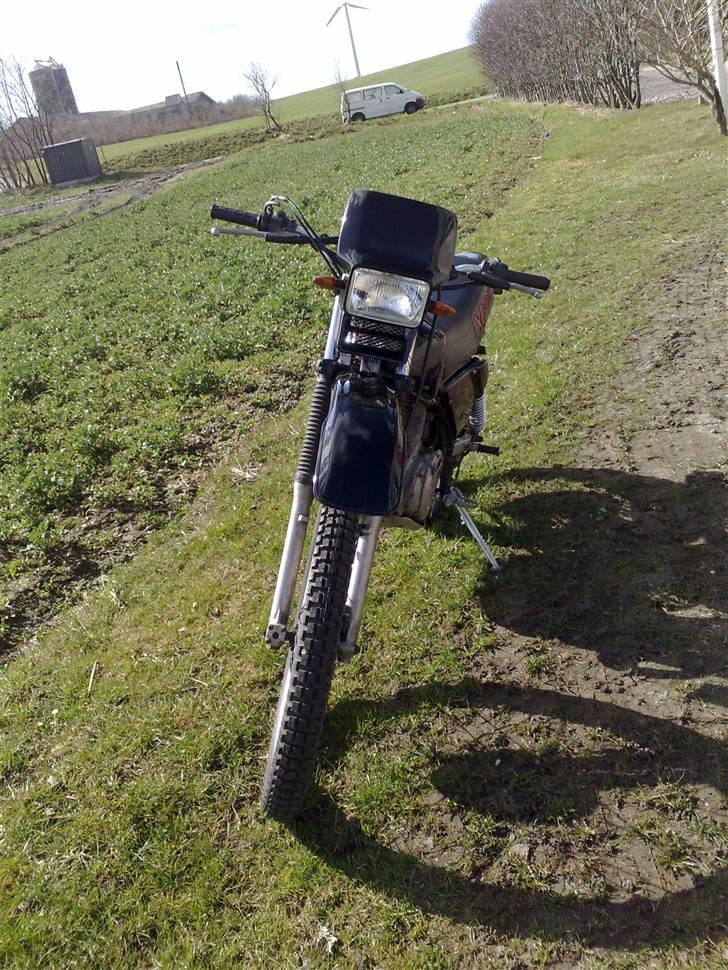 Honda XL 500 S (Solgt) - Efter renovering billede 4
