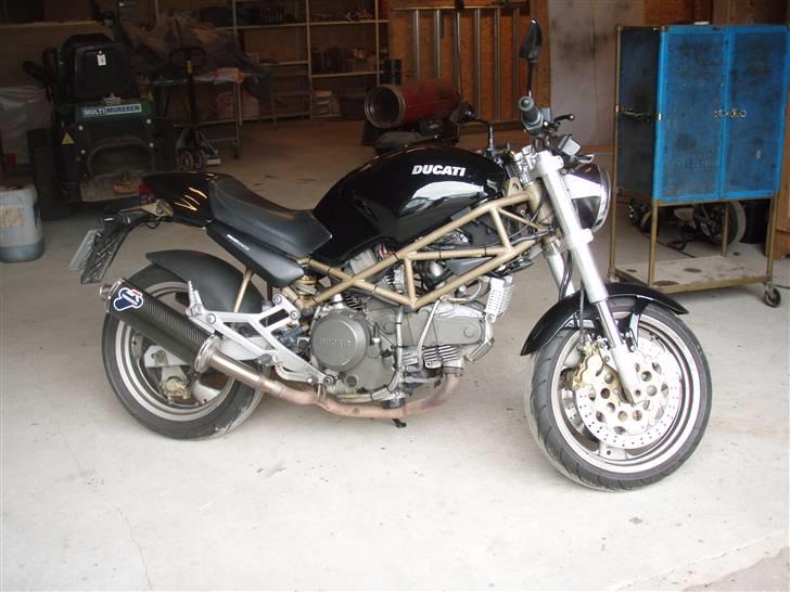 Ducati Monster ( solgt ) billede 1