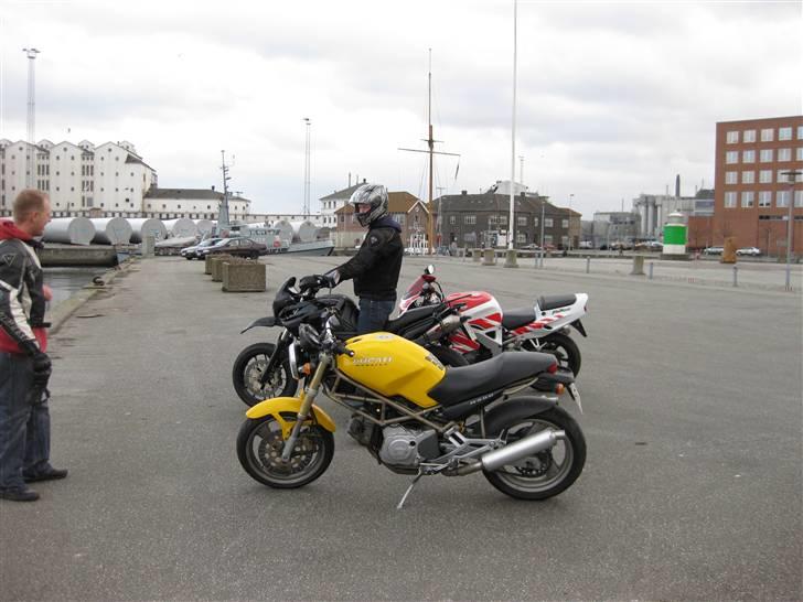 Ducati MONSTER billede 12