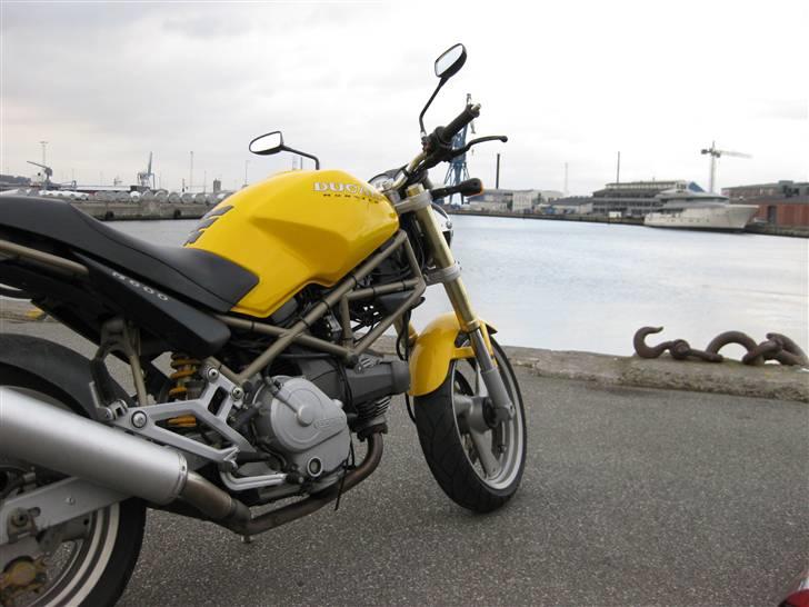 Ducati MONSTER billede 13