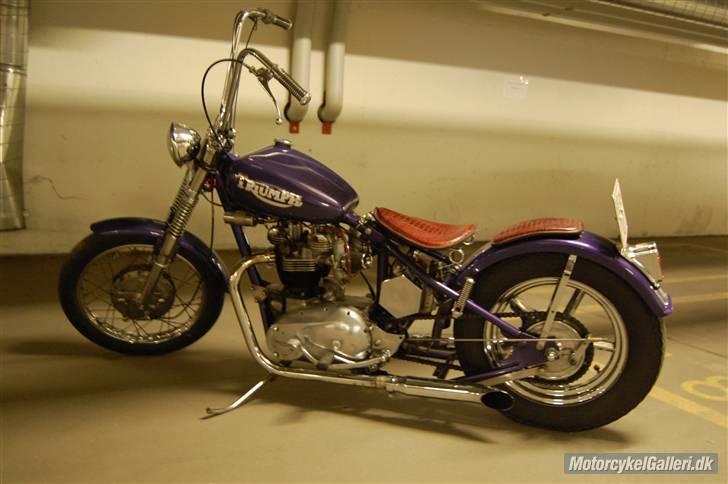 Triumph Bonneville billede 2