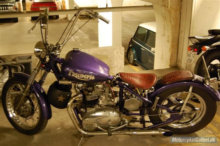 Triumph Bonneville billede 5
