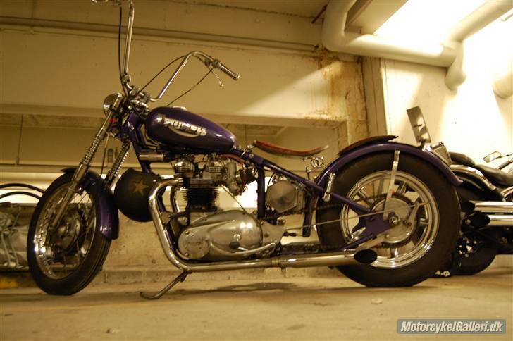 Triumph Bonneville billede 6