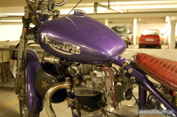 Triumph Bonneville billede 7