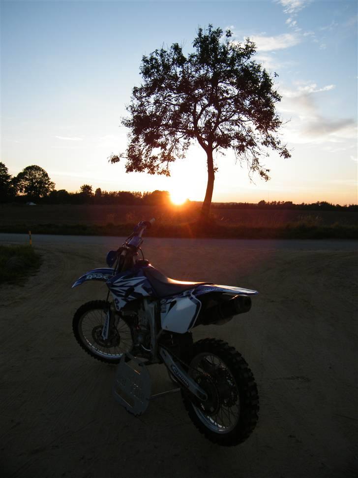 Yamaha YZ450F [SOLGT] billede 11
