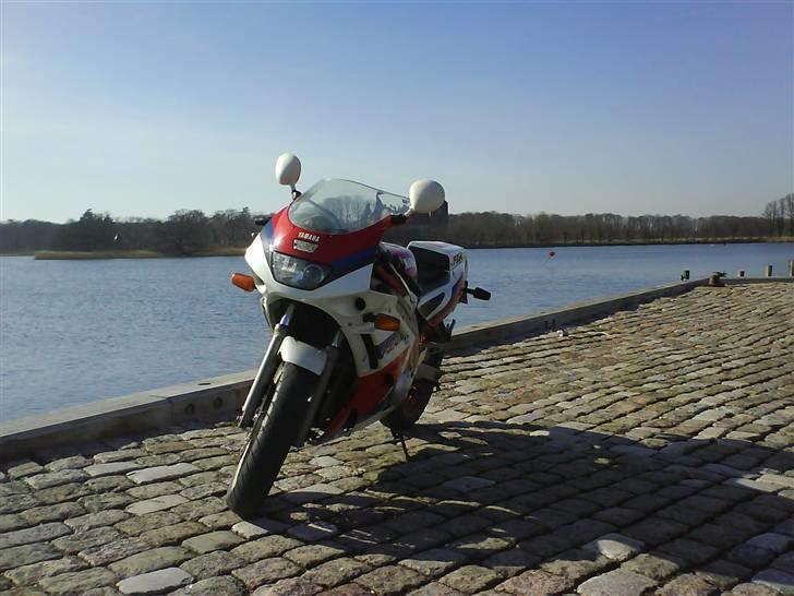 Yamaha FZR 600 - Også ved Nysted havn billede 8