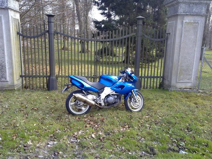 Yamaha SZR 660 SOLGT billede 8