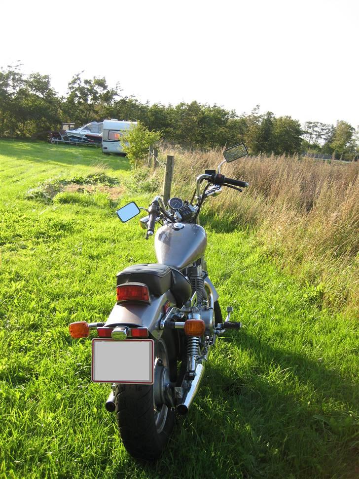 Honda CMX 450 C Rebel billede 2