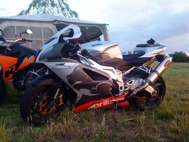 Aprilia RSV Mille R billede 1