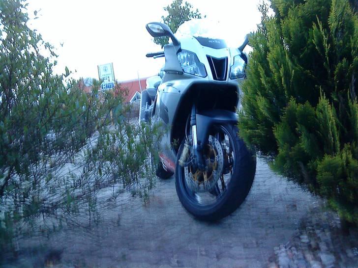 Aprilia RSV Mille R billede 3