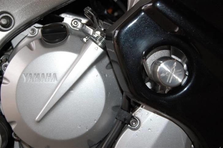 Yamaha FZ6-S ABS (06-model) - Hjemmelavede crash pads billede 8