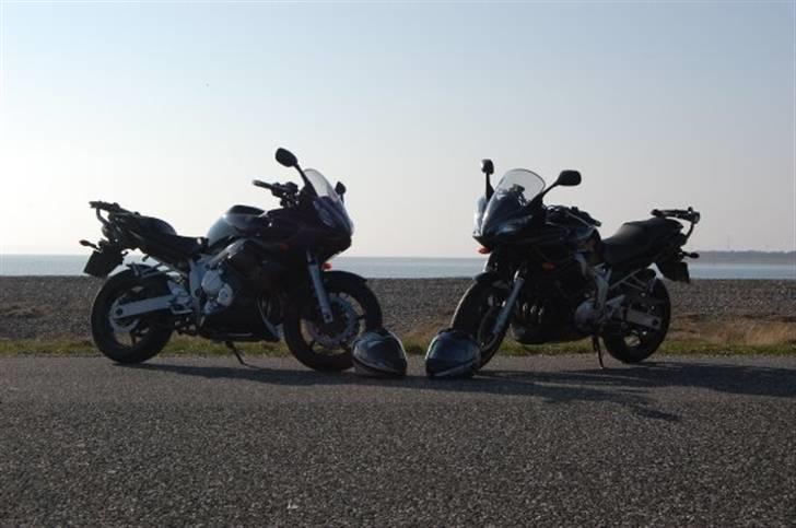 Yamaha FZ6-S ABS (06-model) billede 9
