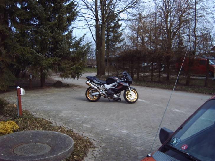 Honda vtr billede 5