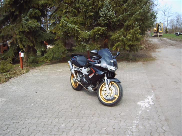 Honda vtr billede 6