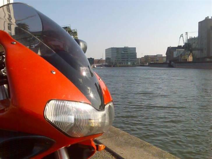 Suzuki TL1000S (SOLGT) billede 3