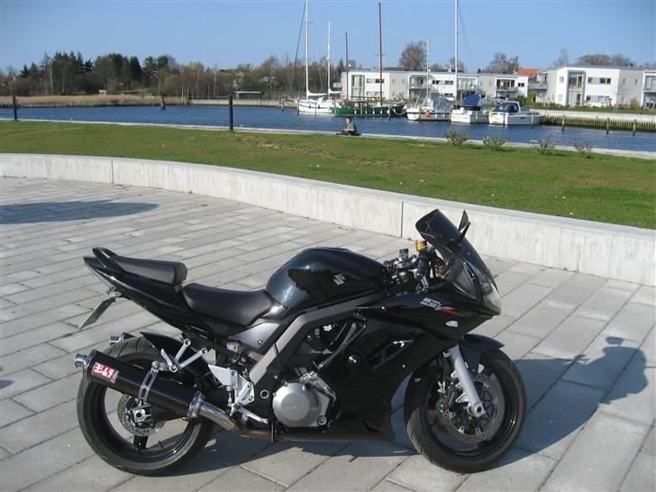 Suzuki SV1000 (Solgt) billede 1