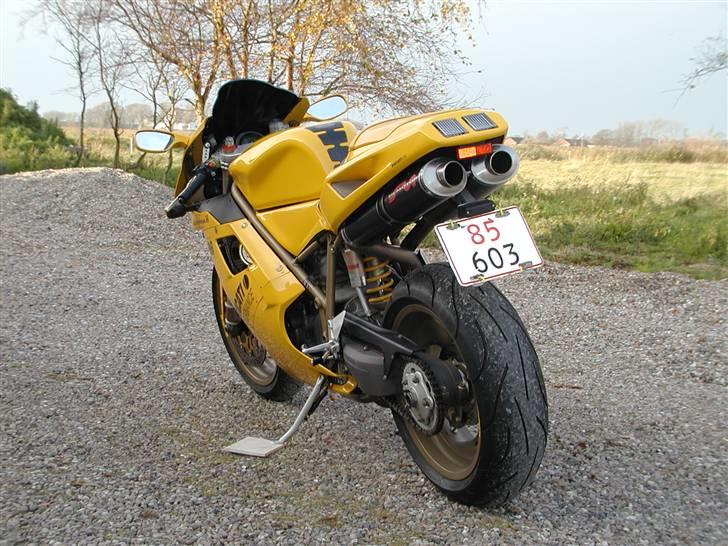 Ducati 996 - hmm...nice ass !! billede 3