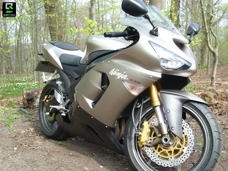 Kawasaki ZX6R  -  STJÅLET! - på en lille skovtur billede 10