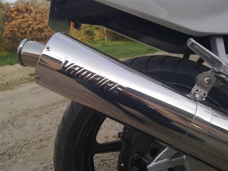 Honda CBR 900 Fireblade billede 5