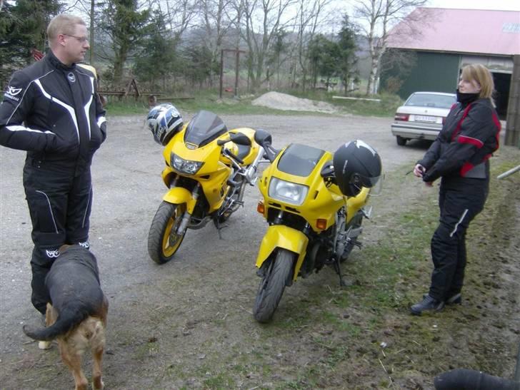 Honda cbr 600 f - De to gule med deres ejer   :o) billede 9