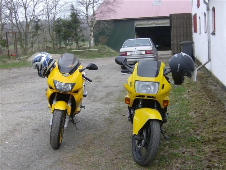 Honda cbr 600 f - De to gule billede 10
