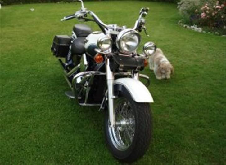 Kawasaki VN 1500 CLASSIC "solgt" billede 4