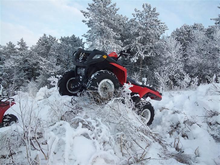 Polaris Sportsman 500 EFI billede 1