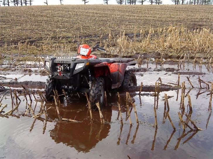 Polaris Sportsman 500 EFI billede 12