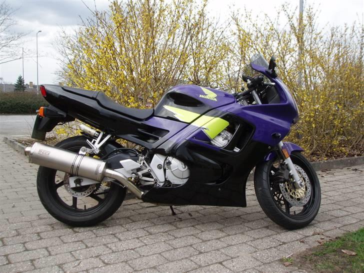 Honda CBR 600 F3 (F2.5) - nu med natur baggrund :) billede 8