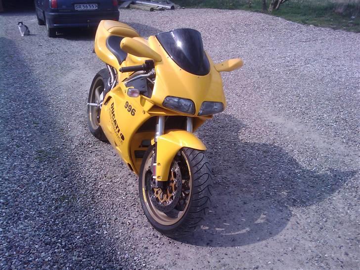 Ducati 996 billede 6