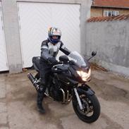 Suzuki GSF650S