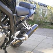Suzuki SV 1000N