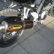 Suzuki SV 1000N