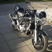 Suzuki SV 1000N