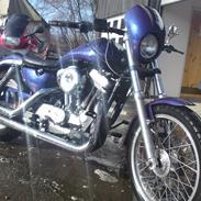 Harley Davidson sportster xl 1200