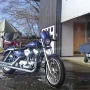 Harley Davidson sportster xl 1200