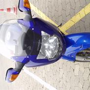 Honda CBR 1100 XX (Blue)bird