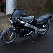 Yamaha FZR 1000