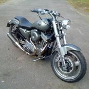 Harley Davidson sportster
