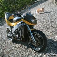 Kawasaki zxr 750 ccm